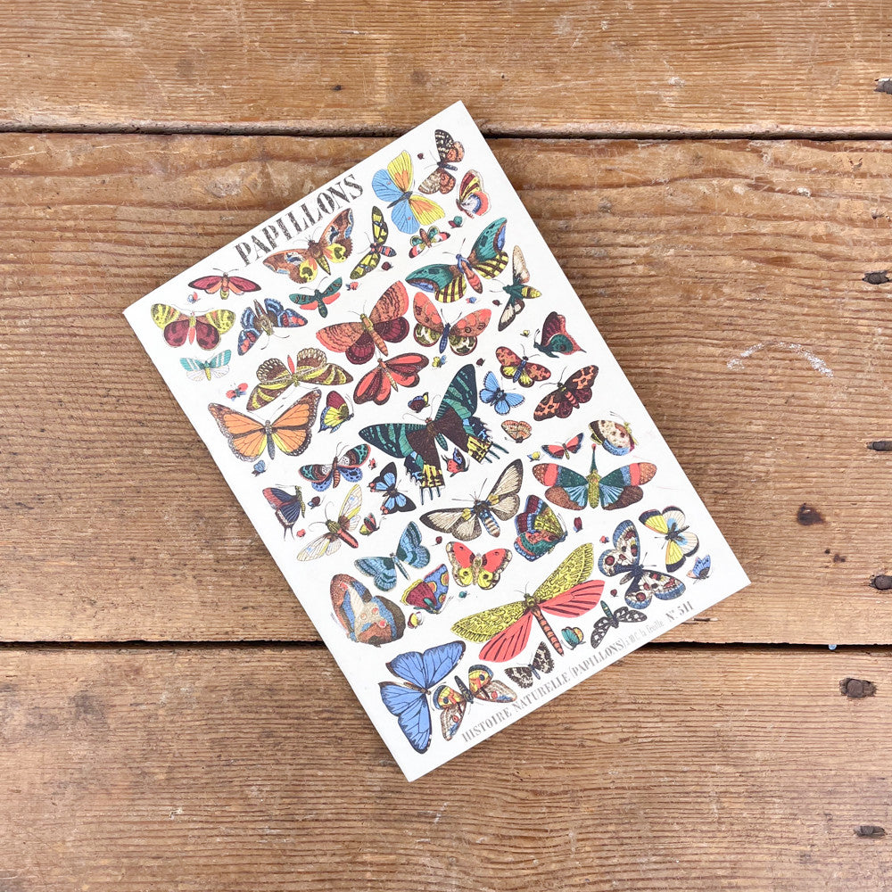 A5 butterfly notebook