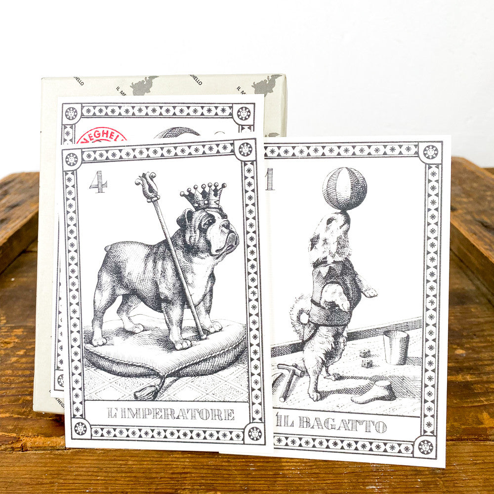 Cartes de tarot chien