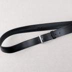 Travel belt with ticket cover