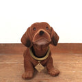 Dog that moves its head