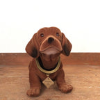 Dog that moves its head