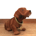 Dog that moves its head