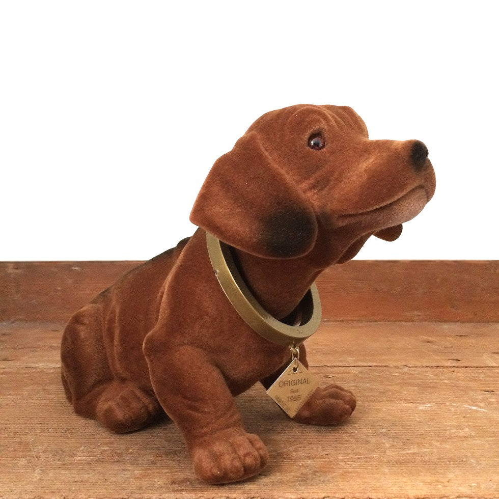 Chien qui bouge la tête