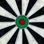 Competition sisal dartboard