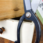 Japanese scissors plant pruner