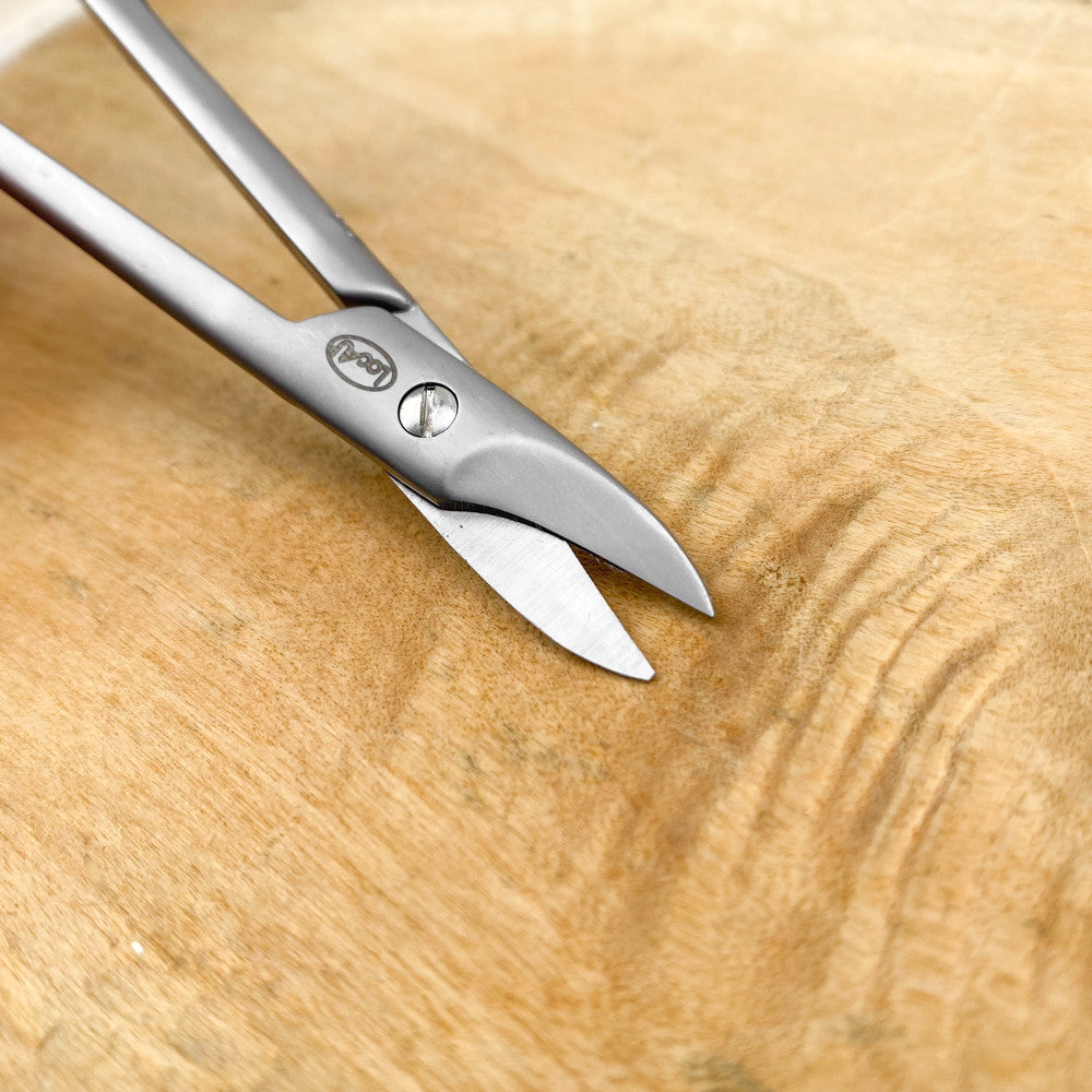 Pedicure scissors