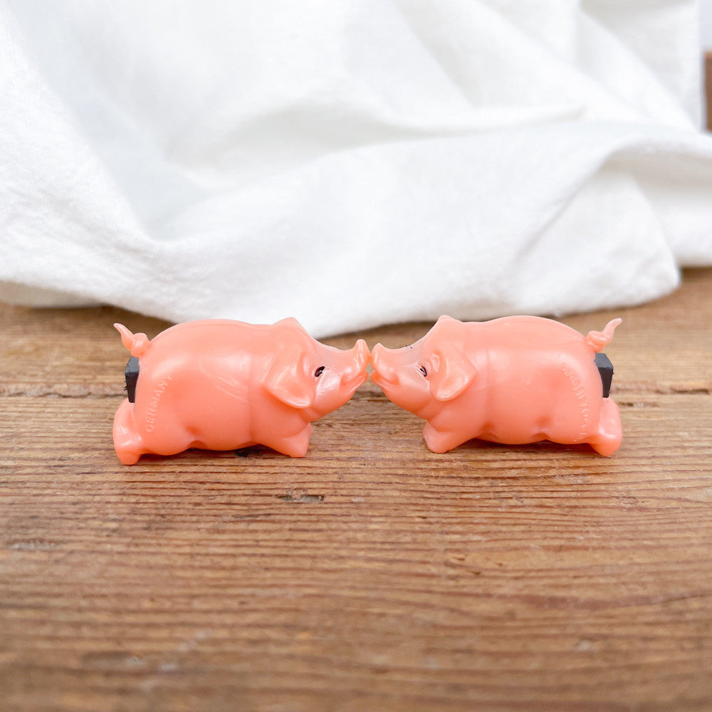 Magnetic pigs in love