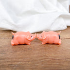 Magnetic pigs in love