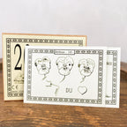 Coffret 20 rébus de 1900