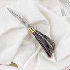Horn bra knife