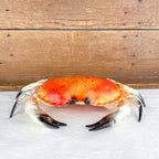 Plastic decorative crab