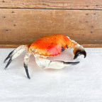 Decorative crab shellfish