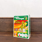 Plaster molding tyrannosaurus