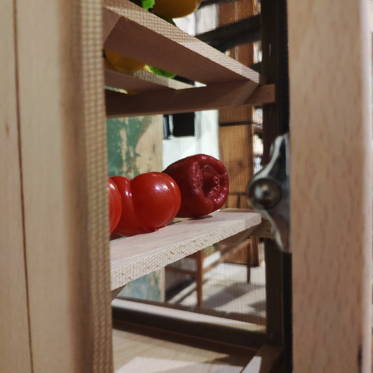 Small pantry with 2 racks