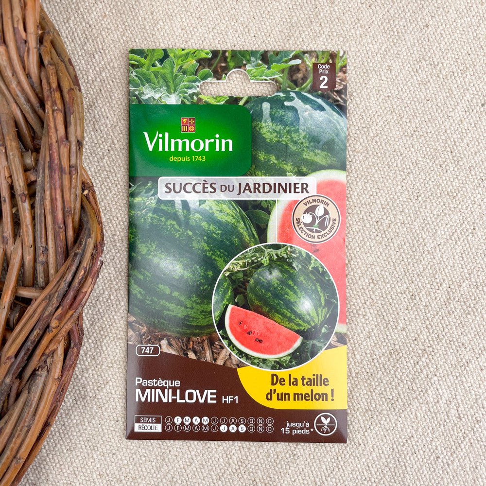 Squash and gourd seeds
