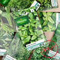 Aromatic herb seeds