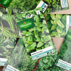 Aromatic herb seeds