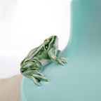 Large vase decorated with two frogs