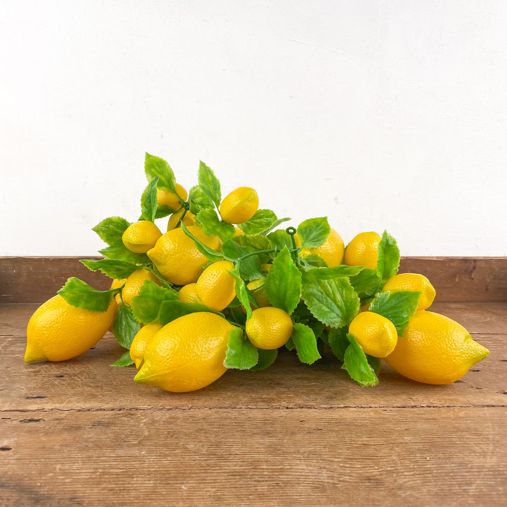 Lemon garland
