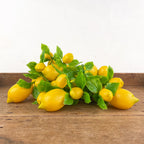 Lemon garland