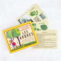 I'm learning to recognize trees