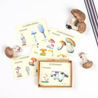 Learn to recognize mushrooms