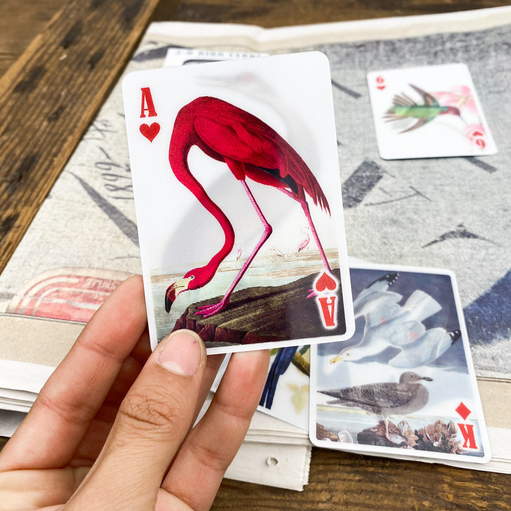 Jeu 54 cartes 3D oiseaux