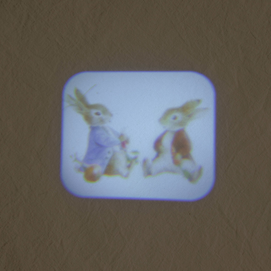 Lampe projecteur d'histoires d'animaux