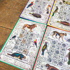 Loto Museum national d'Histoire naturelle