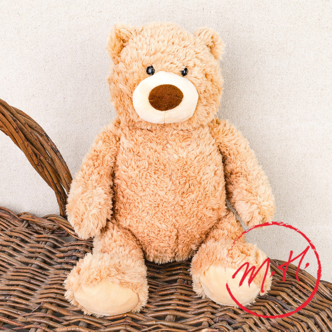 Ours peluche Teddy