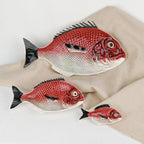 Plat Poisson