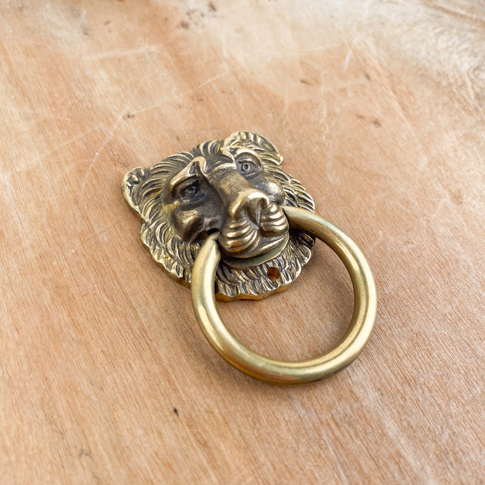 Poignée de meuble tête de lion en bronze
