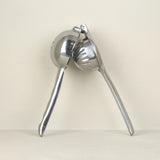 Presse-citron inox