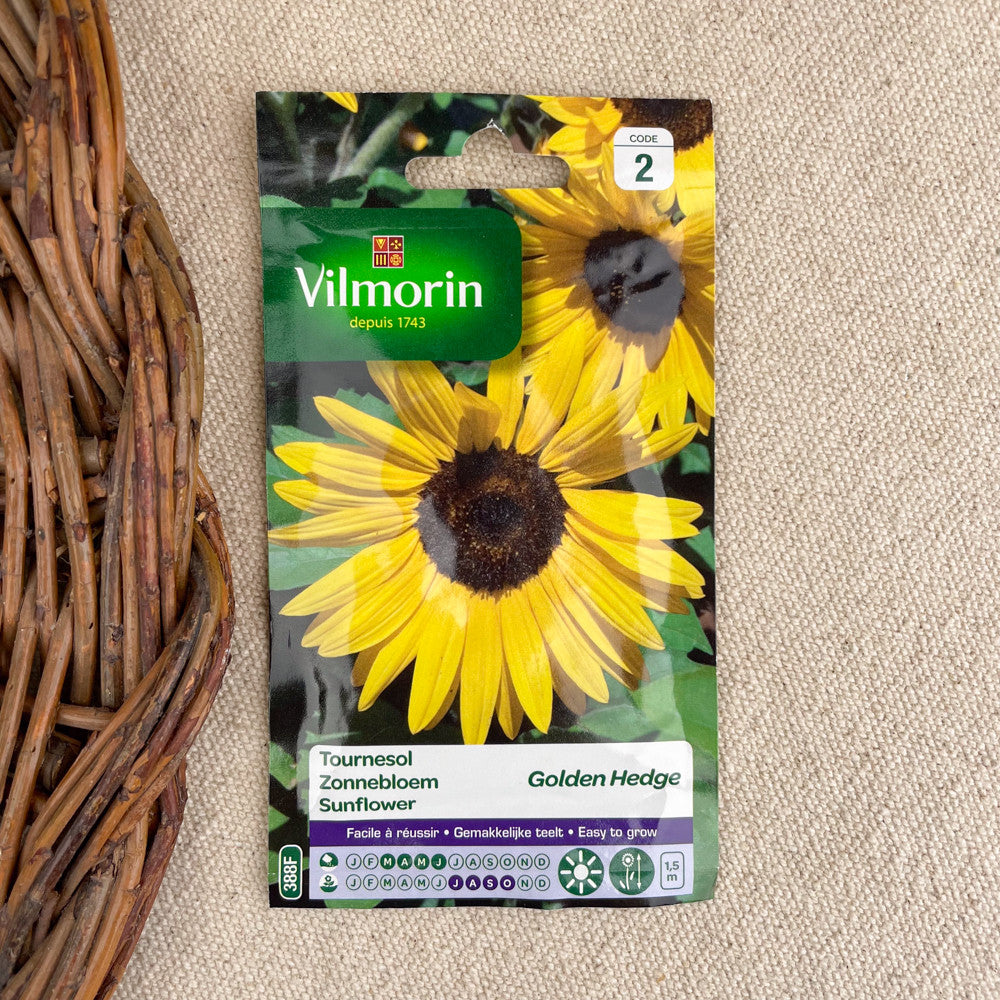 Sunflower seeds Golden Hedge