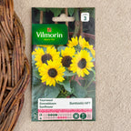 Sunflower seeds Suntastic
