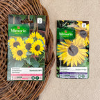 Sunflower seeds