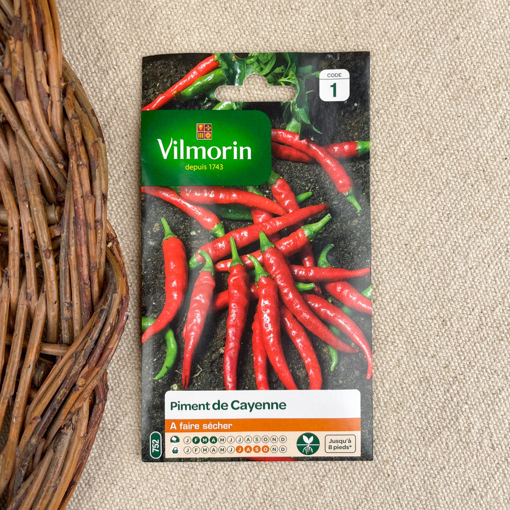 semences de piment de cayenne