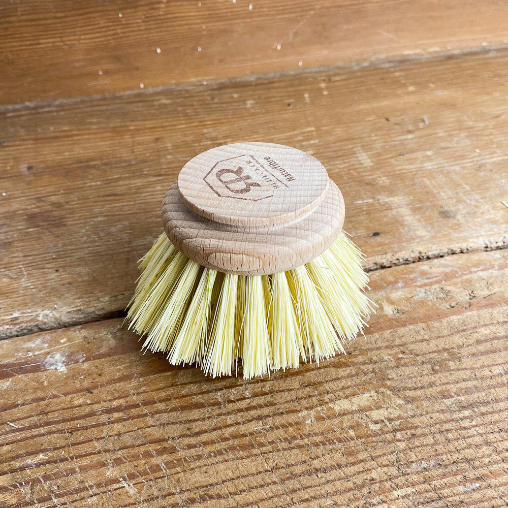 Tête de brosse à vaisselle naturelle