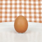 Real chocolate egg in its shell