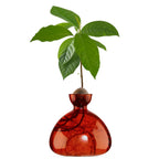Avocado vase