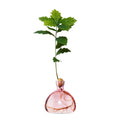 Vase à gland